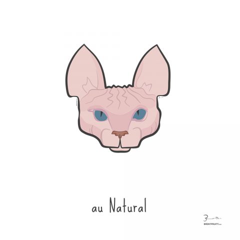 au Natural — Trendy Hair Styles for Sphynx Cats
