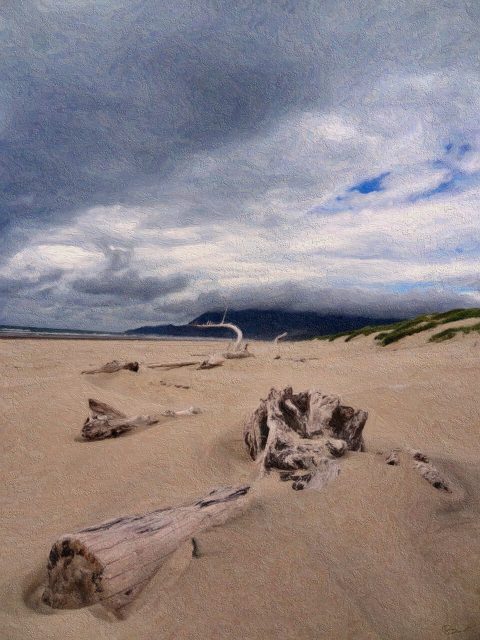 Driftwood in the Sand. Brent Pruitt, photograph, 2013