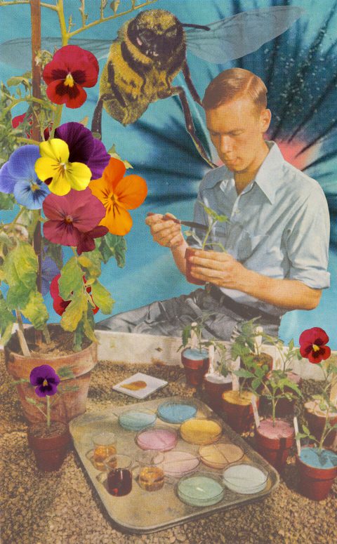 G'mo [GMO Homo], Genetically Modified Orientation. Brent Pruitt, assemblage/collage, 2014