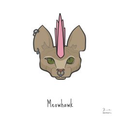 Meowhawk — Trendy Hair Styles for Sphynx Cats