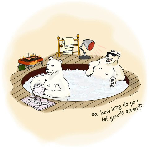 Polar Bear Hot Tub :: Brent Pruitt
